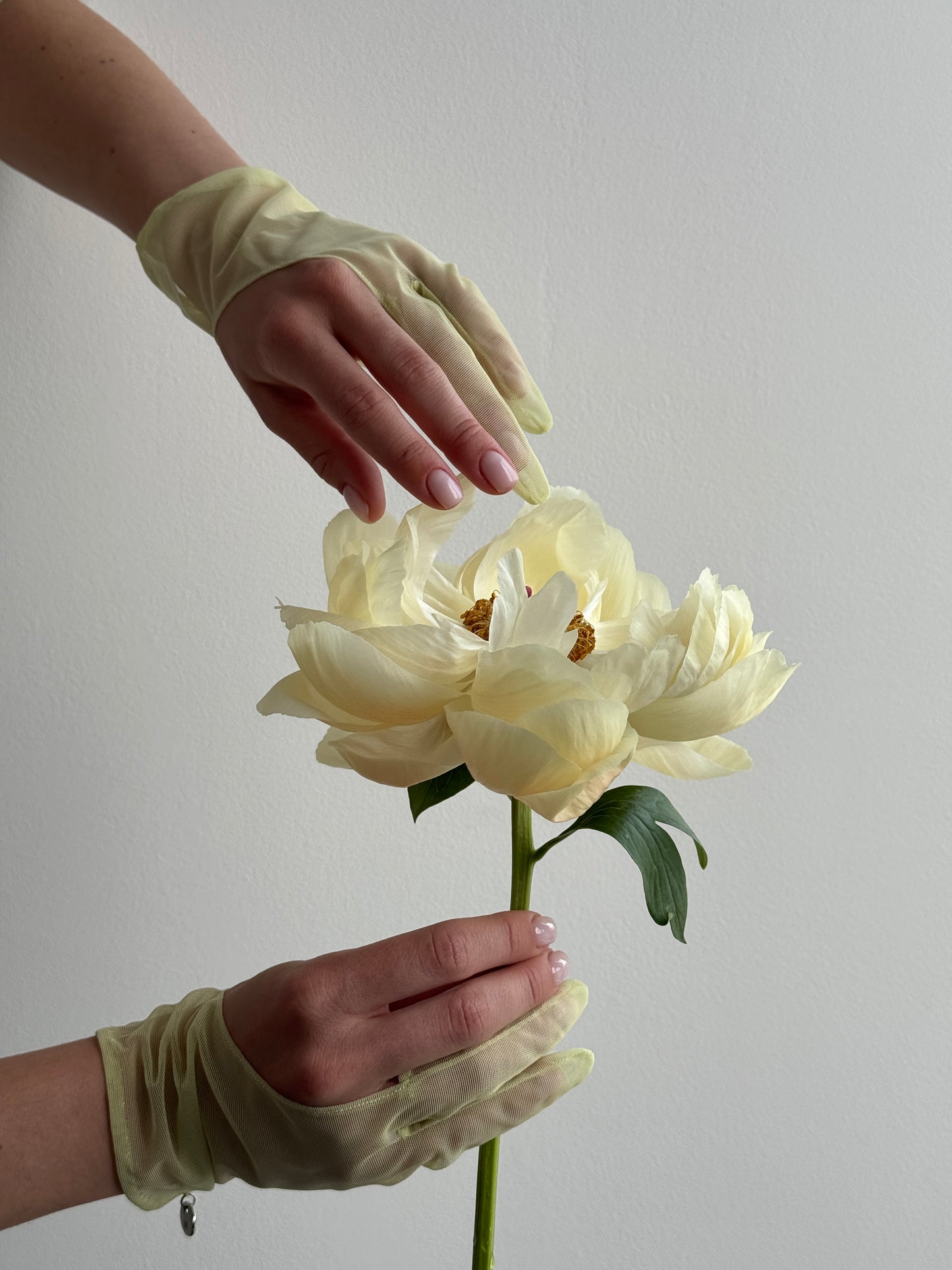 SUNNY GLOVES