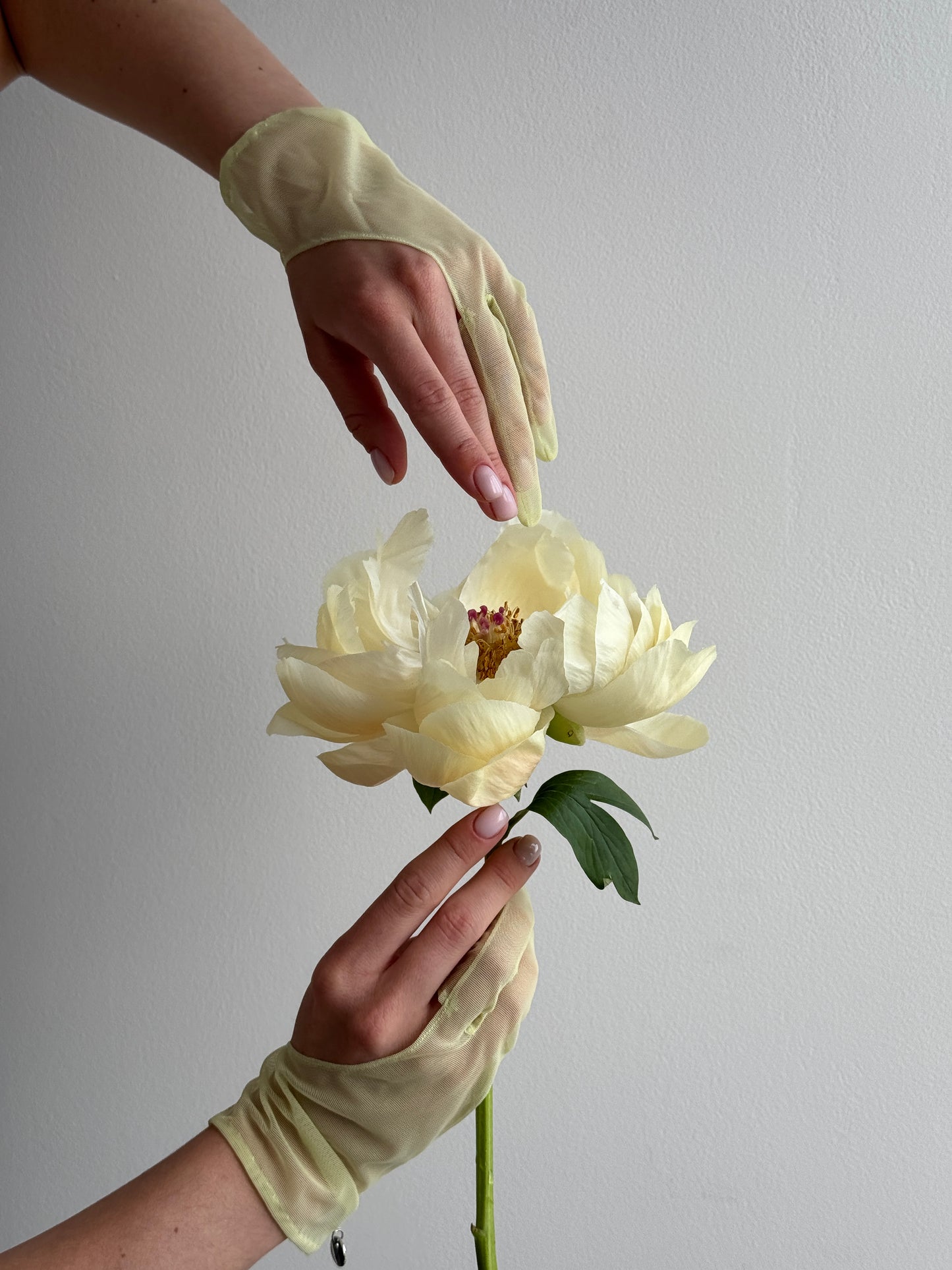 SUNNY GLOVES
